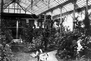 Fotograf: Joseph Albert, Der Wintergarten Maximilians II., Foto des Inneren, um 1860. Das Bild zeigt einen Springbrunnen, der in der Mitte des Wintergarten stand.